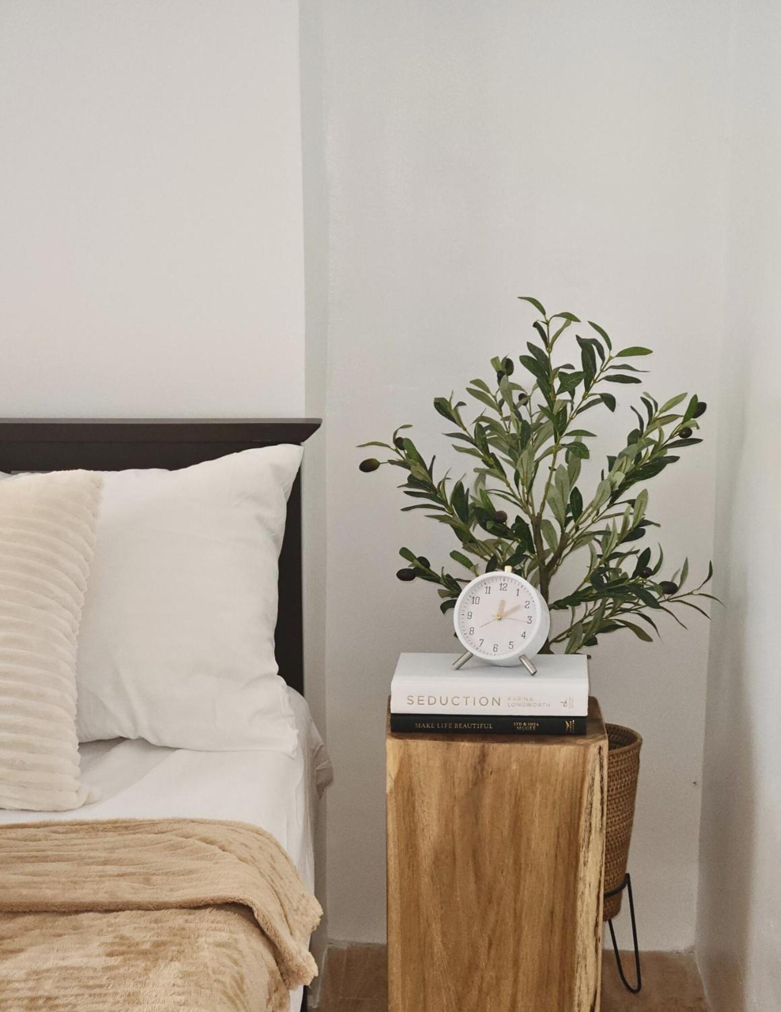 The Traveller'S Haven Airbnb Cebu Exterior foto